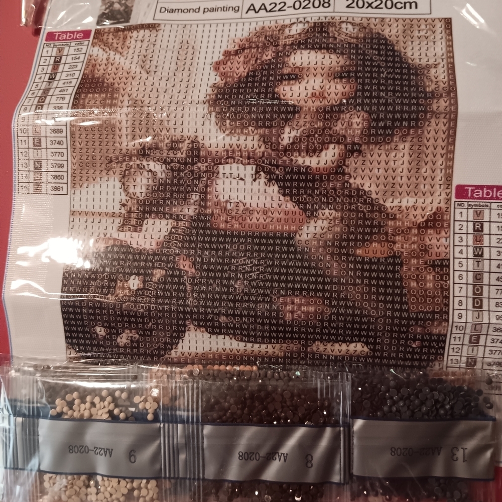 Diamond Painting Kit with Beads Girl On Motorcycle 20x20